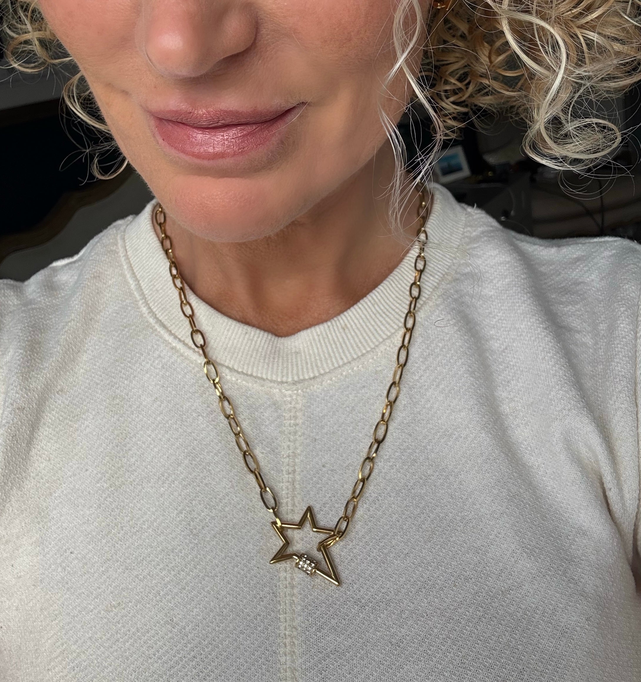 アクセサリー VAINON Destroyed Carabiner Necklace VAINON Destroyed Carabiner Necklace A Necklace That Looks — and